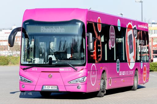 Calo Bus